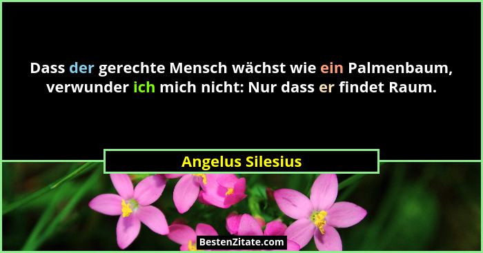 Dass der gerechte Mensch wächst wie ein Palmenbaum, verwunder ich mich nicht: Nur dass er findet Raum.... - Angelus Silesius