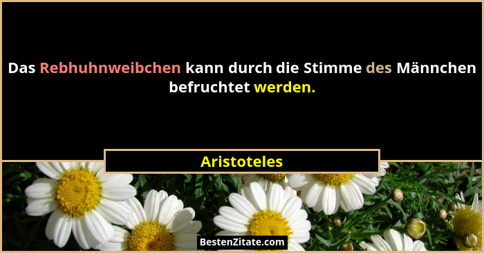 Das Rebhuhnweibchen kann durch die Stimme des Männchen befruchtet werden.... - Aristoteles