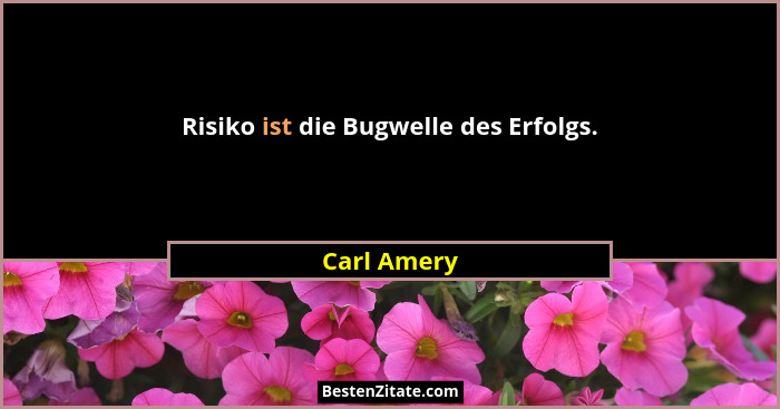 Risiko ist die Bugwelle des Erfolgs.... - Carl Amery