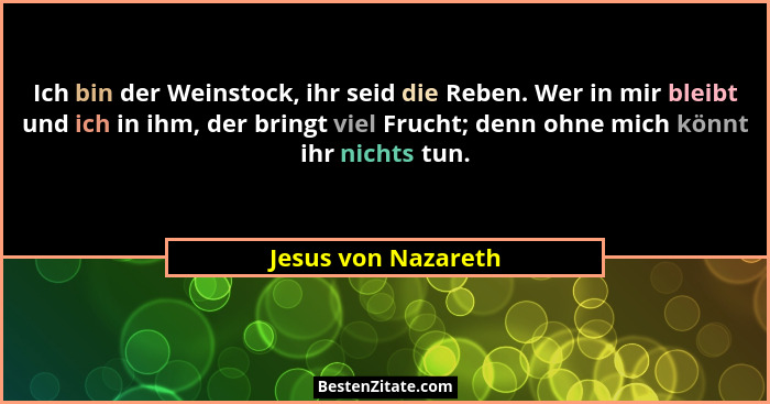 Ich bin der Weinstock, ihr seid die Reben. Wer in mir bleibt und ich in ihm, der bringt viel Frucht; denn ohne mich könnt ihr nic... - Jesus von Nazareth