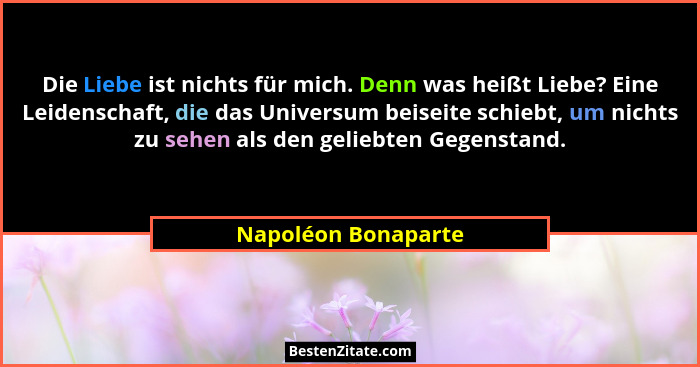 Die Liebe ist nichts für mich. Denn was heißt Liebe? Eine Leidenschaft, die das Universum beiseite schiebt, um nichts zu sehen al... - Napoléon Bonaparte