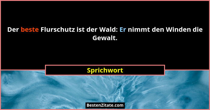 Der beste Flurschutz ist der Wald: Er nimmt den Winden die Gewalt.... - Sprichwort