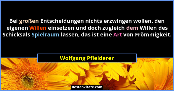 Bei großen Entscheidungen nichts erzwingen wollen, den eigenen Willen einsetzen und doch zugleich dem Willen des Schicksals Spie... - Wolfgang Pfleiderer