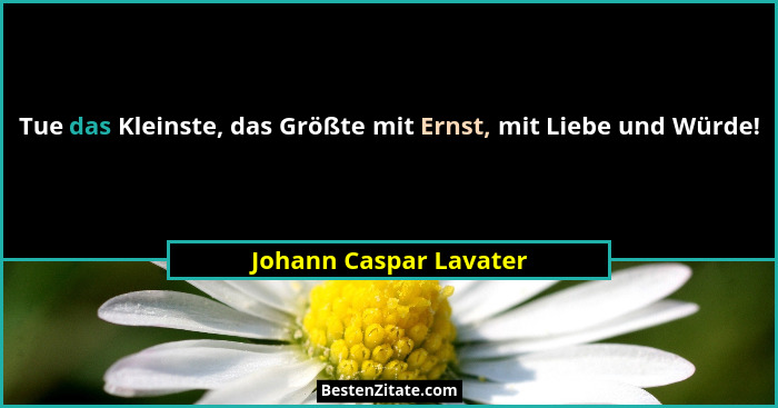 Tue das Kleinste, das Größte mit Ernst, mit Liebe und Würde!... - Johann Caspar Lavater