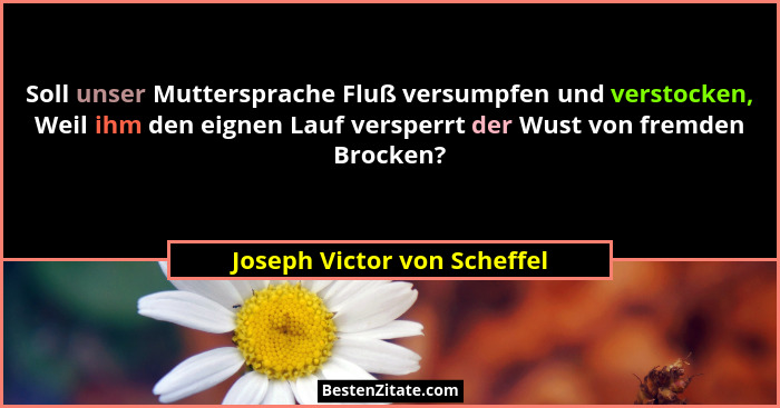 Soll unser Muttersprache Fluß versumpfen und verstocken, Weil ihm den eignen Lauf versperrt der Wust von fremden Brocken?... - Joseph Victor von Scheffel