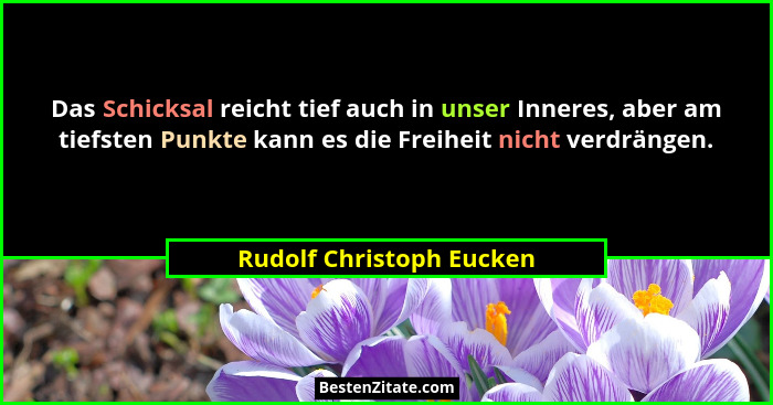 Das Schicksal reicht tief auch in unser Inneres, aber am tiefsten Punkte kann es die Freiheit nicht verdrängen.... - Rudolf Christoph Eucken