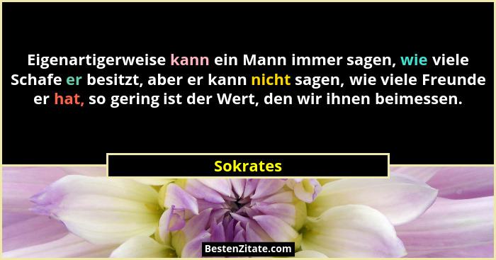 Eigenartigerweise kann ein Mann immer sagen, wie viele Schafe er besitzt, aber er kann nicht sagen, wie viele Freunde er hat, so gering ist... - Sokrates