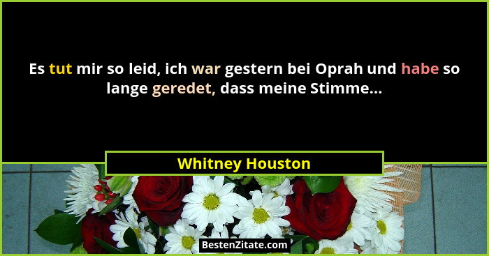 Es tut mir so leid, ich war gestern bei Oprah und habe so lange geredet, dass meine Stimme...... - Whitney Houston
