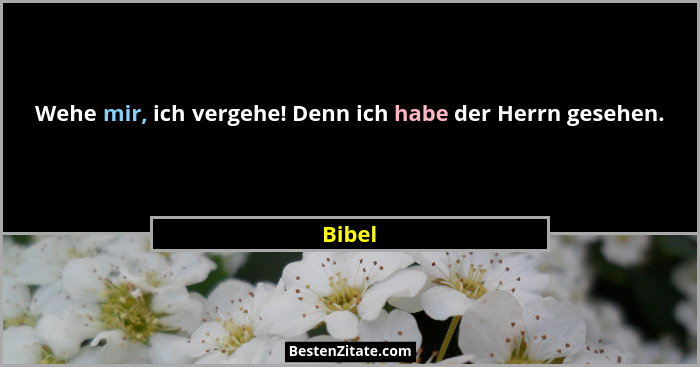 Wehe mir, ich vergehe! Denn ich habe der Herrn gesehen.... - Bibel
