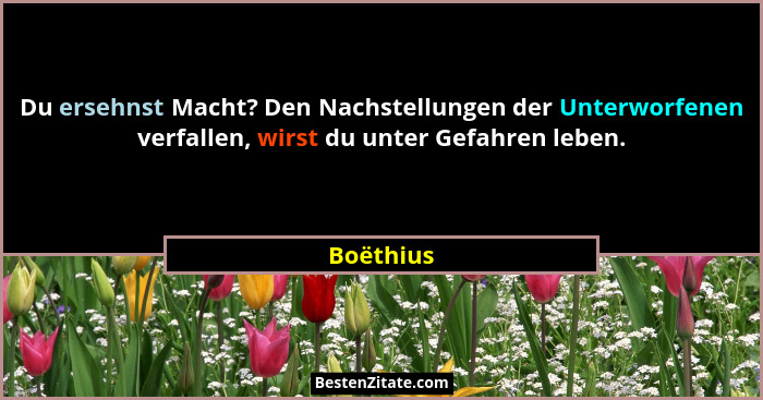 Du ersehnst Macht? Den Nachstellungen der Unterworfenen verfallen, wirst du unter Gefahren leben.... - Boëthius
