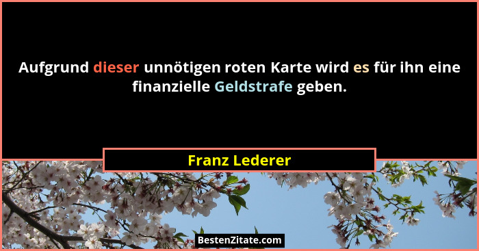 Aufgrund dieser unnötigen roten Karte wird es für ihn eine finanzielle Geldstrafe geben.... - Franz Lederer