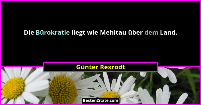 Die Bürokratie liegt wie Mehltau über dem Land.... - Günter Rexrodt