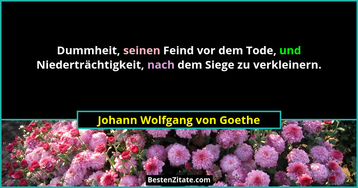 Dummheit, seinen Feind vor dem Tode, und Niederträchtigkeit, nach dem Siege zu verkleinern.... - Johann Wolfgang von Goethe