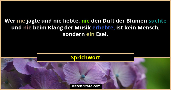 Wer nie jagte und nie liebte, nie den Duft der Blumen suchte und nie beim Klang der Musik erbebte, ist kein Mensch, sondern ein Esel.... - Sprichwort