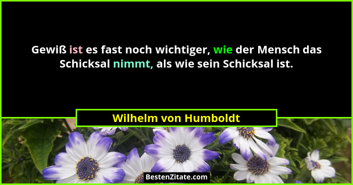 Gewiß ist es fast noch wichtiger, wie der Mensch das Schicksal nimmt, als wie sein Schicksal ist.... - Wilhelm von Humboldt