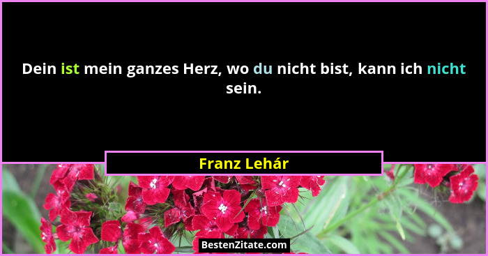Dein ist mein ganzes Herz, wo du nicht bist, kann ich nicht sein.... - Franz Lehár