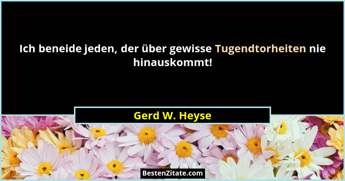 Ich beneide jeden, der über gewisse Tugendtorheiten nie hinauskommt!... - Gerd W. Heyse