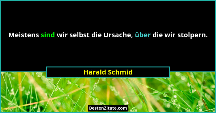 Meistens sind wir selbst die Ursache, über die wir stolpern.... - Harald Schmid