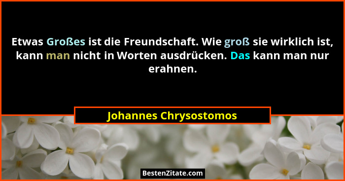Etwas Großes ist die Freundschaft. Wie groß sie wirklich ist, kann man nicht in Worten ausdrücken. Das kann man nur erahnen.... - Johannes Chrysostomos