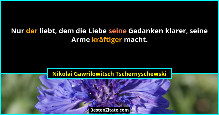 Nur der liebt, dem die Liebe seine Gedanken klarer, seine Arme kräftiger macht.... - Nikolai Gawrilowitsch Tschernyschewski