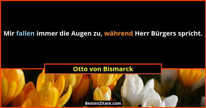 Mir fallen immer die Augen zu, während Herr Bürgers spricht.... - Otto von Bismarck