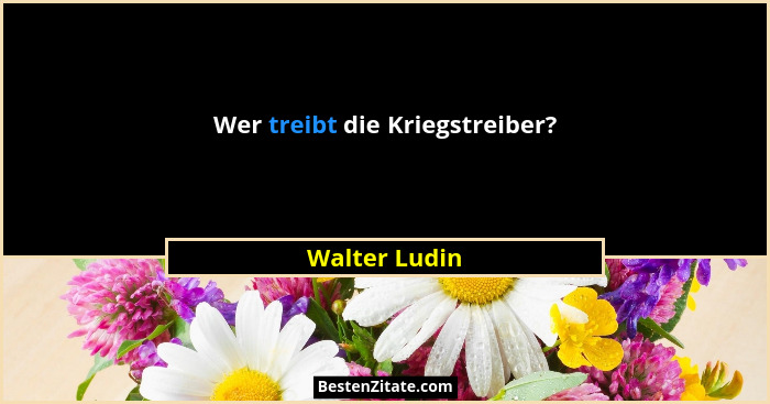 Wer treibt die Kriegstreiber?... - Walter Ludin