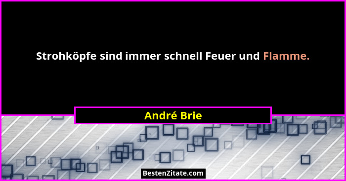 Strohköpfe sind immer schnell Feuer und Flamme.... - André Brie