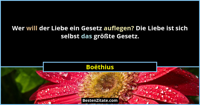 Wer will der Liebe ein Gesetz auflegen? Die Liebe ist sich selbst das größte Gesetz.... - Boëthius