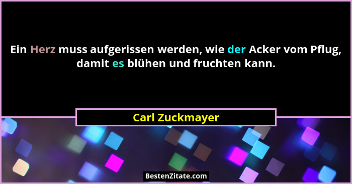 Ein Herz muss aufgerissen werden, wie der Acker vom Pflug, damit es blühen und fruchten kann.... - Carl Zuckmayer