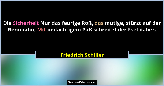 Die Sicherheit Nur das feurige Roß, das mutige, stürzt auf der Rennbahn, Mit bedächtigem Paß schreitet der Esel daher.... - Friedrich Schiller