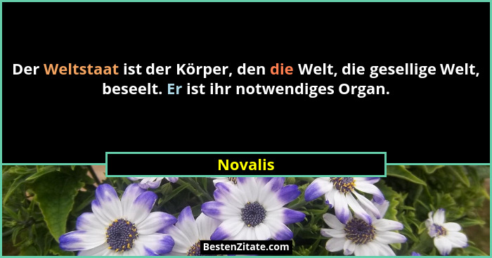 Der Weltstaat ist der Körper, den die Welt, die gesellige Welt, beseelt. Er ist ihr notwendiges Organ.... - Novalis
