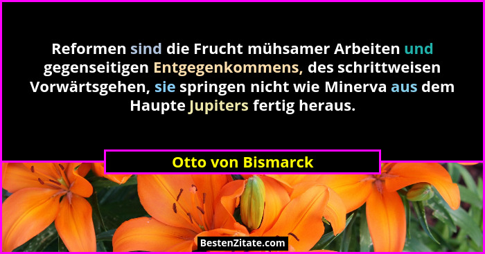 Reformen sind die Frucht mühsamer Arbeiten und gegenseitigen Entgegenkommens, des schrittweisen Vorwärtsgehen, sie springen nicht... - Otto von Bismarck
