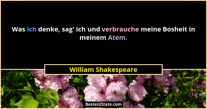 Was ich denke, sag' ich und verbrauche meine Bosheit in meinem Atem.... - William Shakespeare