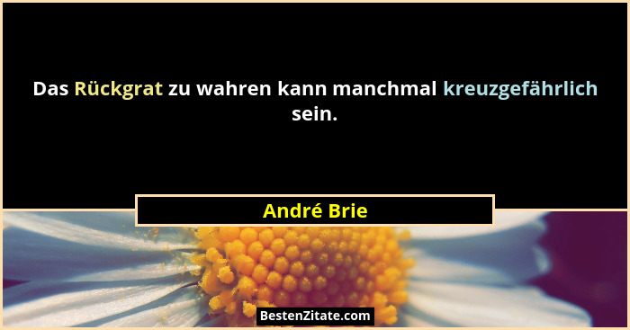 Das Rückgrat zu wahren kann manchmal kreuzgefährlich sein.... - André Brie