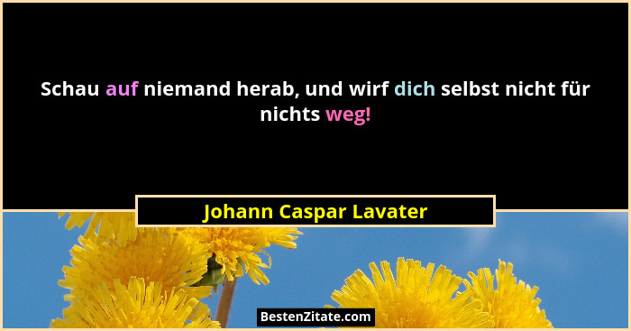 Schau auf niemand herab, und wirf dich selbst nicht für nichts weg!... - Johann Caspar Lavater