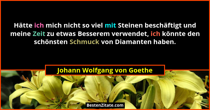 Hätte ich mich nicht so viel mit Steinen beschäftigt und meine Zeit zu etwas Besserem verwendet, ich könnte den schönsten... - Johann Wolfgang von Goethe