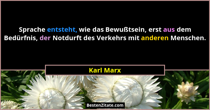 Sprache entsteht, wie das Bewußtsein, erst aus dem Bedürfnis, der Notdurft des Verkehrs mit anderen Menschen.... - Karl Marx