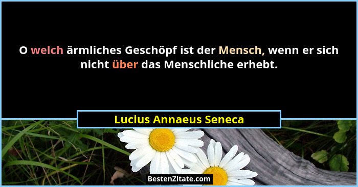 O welch ärmliches Geschöpf ist der Mensch, wenn er sich nicht über das Menschliche erhebt.... - Lucius Annaeus Seneca