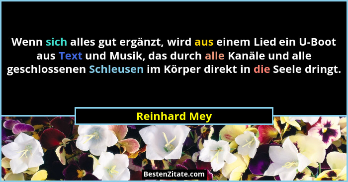 Wenn sich alles gut ergänzt, wird aus einem Lied ein U-Boot aus Text und Musik, das durch alle Kanäle und alle geschlossenen Schleusen... - Reinhard Mey