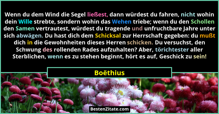 Wenn du dem Wind die Segel ließest, dann würdest du fahren, nicht wohin dein Wille strebte, sondern wohin das Wehen triebe; wenn du den Sch... - Boëthius