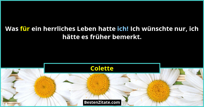 Was für ein herrliches Leben hatte ich! Ich wünschte nur, ich hätte es früher bemerkt.... - Colette