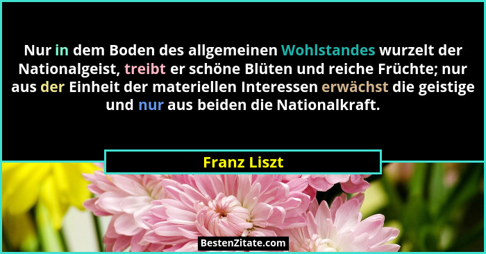 Nur in dem Boden des allgemeinen Wohlstandes wurzelt der Nationalgeist, treibt er schöne Blüten und reiche Früchte; nur aus der Einheit... - Franz Liszt