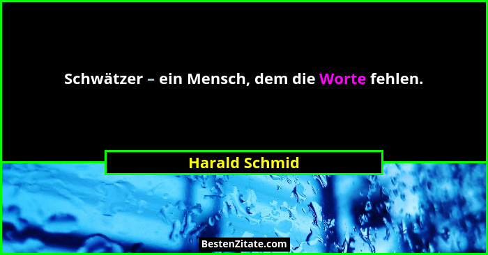 Schwätzer – ein Mensch, dem die Worte fehlen.... - Harald Schmid