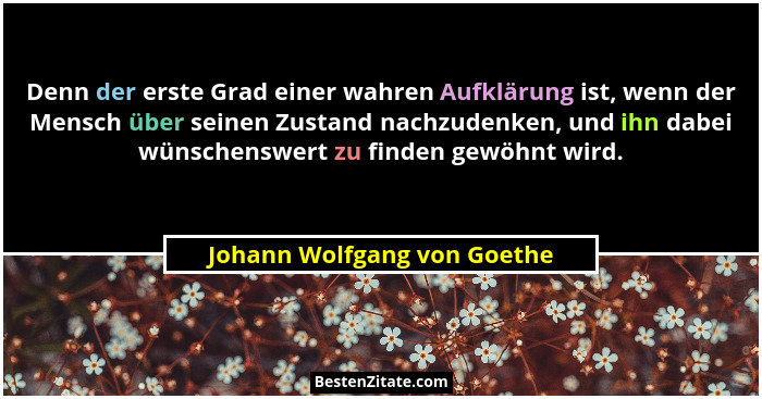 Denn der erste Grad einer wahren Aufklärung ist, wenn der Mensch über seinen Zustand nachzudenken, und ihn dabei wünschen... - Johann Wolfgang von Goethe