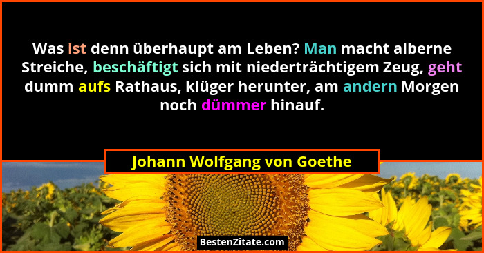 Was ist denn überhaupt am Leben? Man macht alberne Streiche, beschäftigt sich mit niederträchtigem Zeug, geht dumm aufs R... - Johann Wolfgang von Goethe