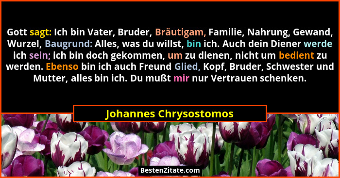 Gott sagt: Ich bin Vater, Bruder, Bräutigam, Familie, Nahrung, Gewand, Wurzel, Baugrund: Alles, was du willst, bin ich. Auch d... - Johannes Chrysostomos