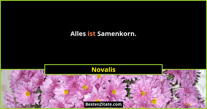 Alles ist Samenkorn.... - Novalis