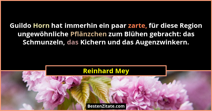 Guildo Horn hat immerhin ein paar zarte, für diese Region ungewöhnliche Pflänzchen zum Blühen gebracht: das Schmunzeln, das Kichern und... - Reinhard Mey