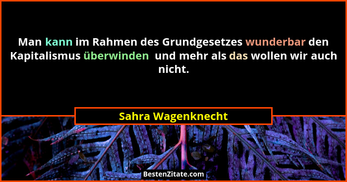 Man kann im Rahmen des Grundgesetzes wunderbar den Kapitalismus überwinden  und mehr als das wollen wir auch nicht.... - Sahra Wagenknecht