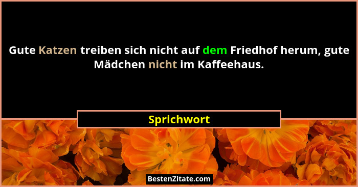 Gute Katzen treiben sich nicht auf dem Friedhof herum, gute Mädchen nicht im Kaffeehaus.... - Sprichwort